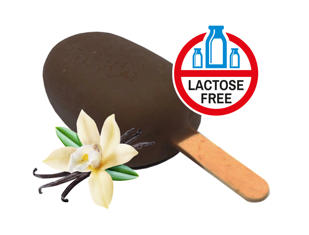 Mini Royal ZERO-LACTOSE vanille met pure chocolade